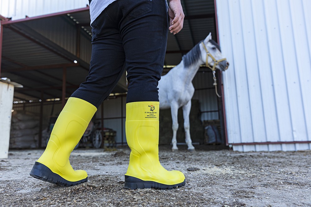 Agriculture & Livestock